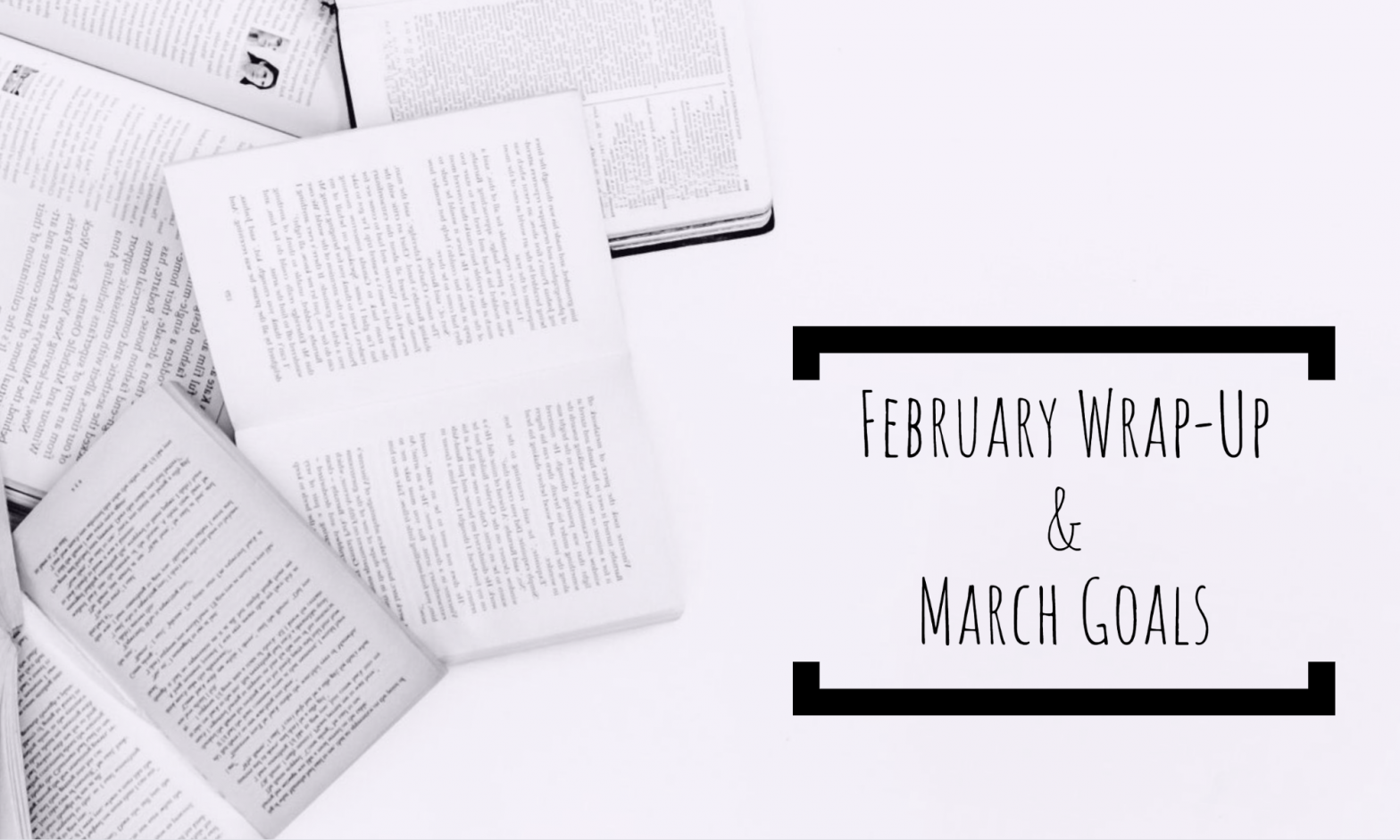 February Wrap-Up & March Goals