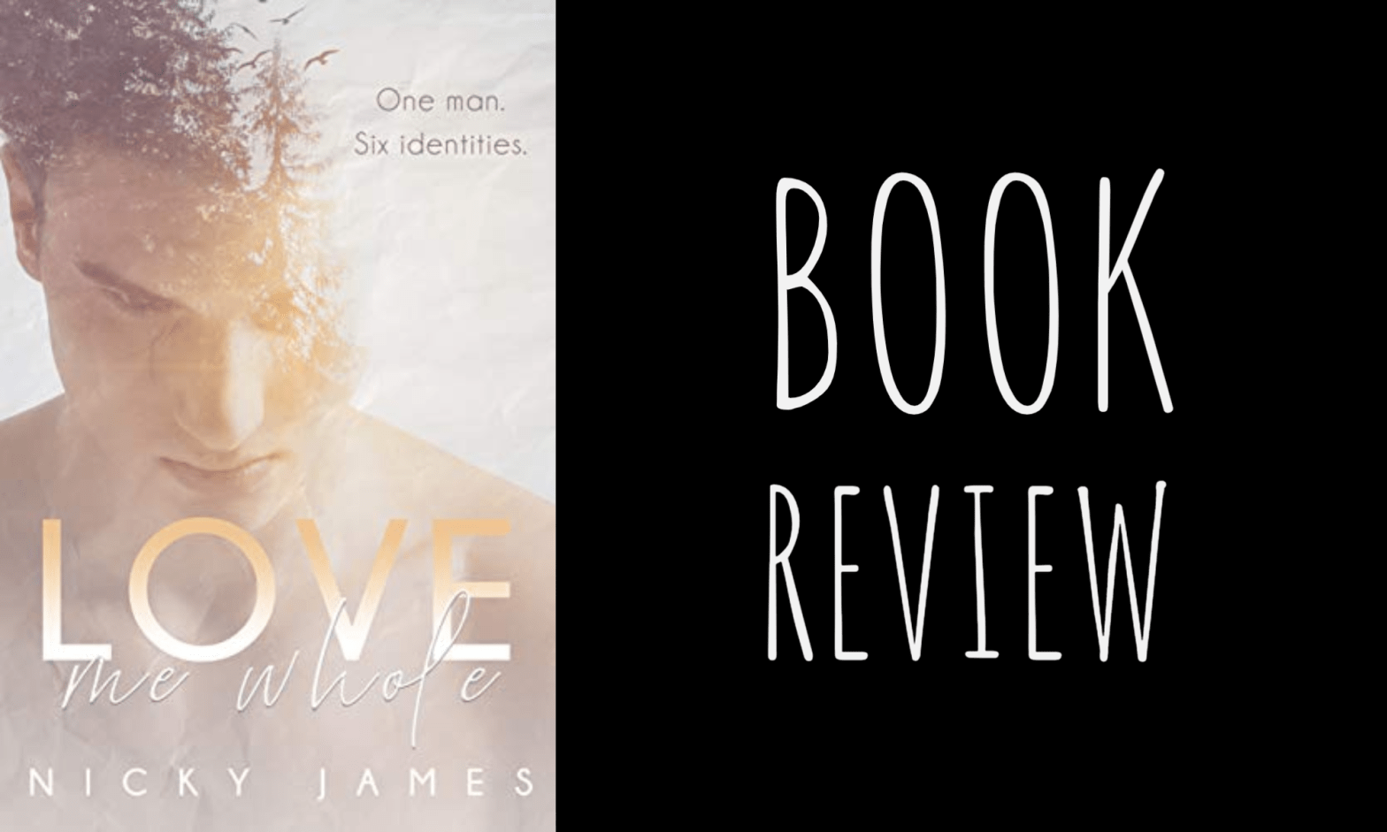 Review: Love Me Whole by Nicky James