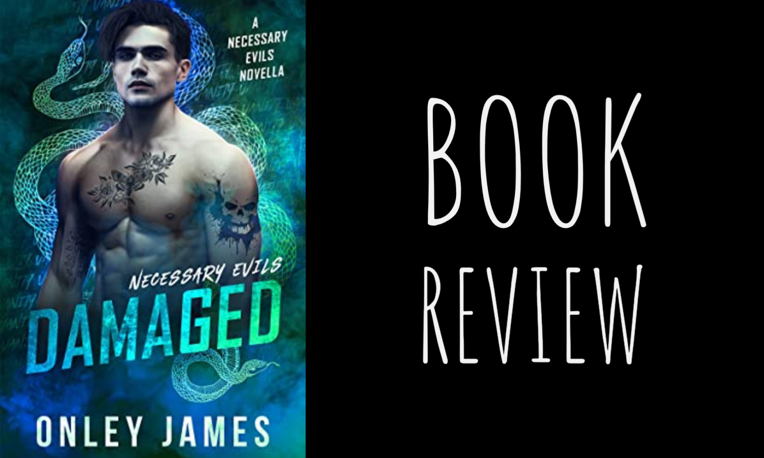 Book Review: Damaged (Necessary Evils #3.5) by Onley James