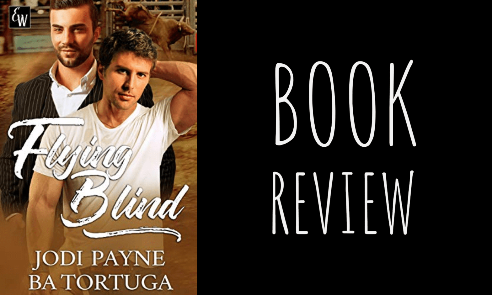 Book Review: Flying Blind by Jodi Payne & B.A. Tortuga