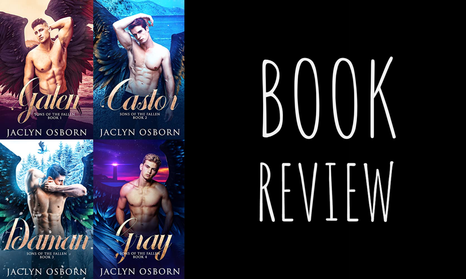 Book Review: Sons of the Fallen Series by Jaclyn Osborn