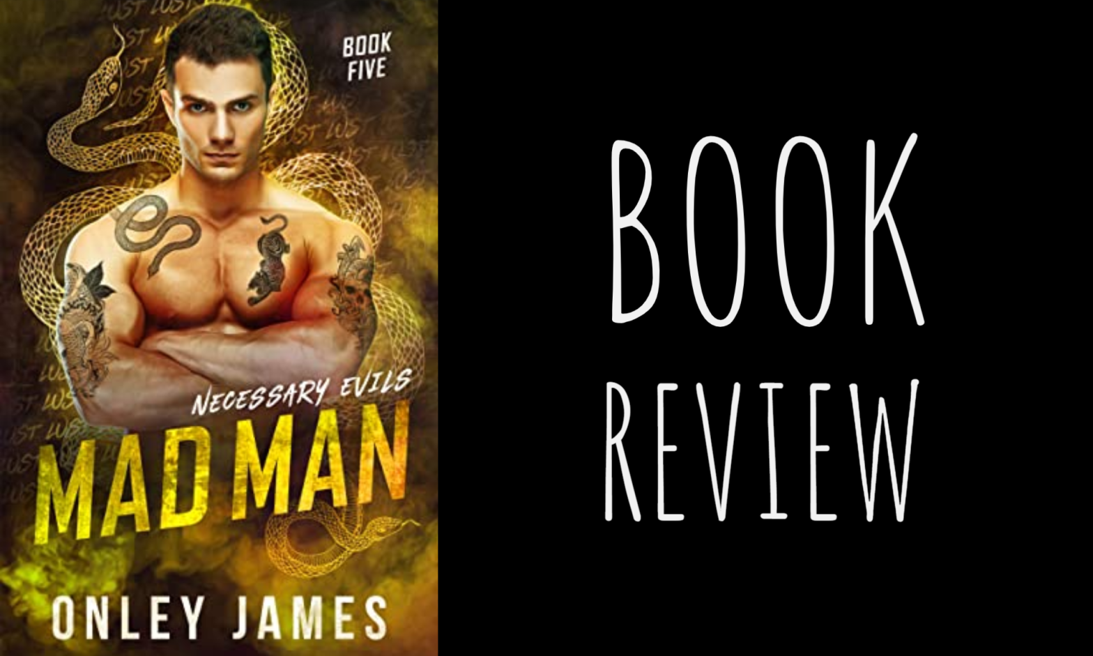 Book Review: Mad Man (Necessary Evils #5) by Onley James
