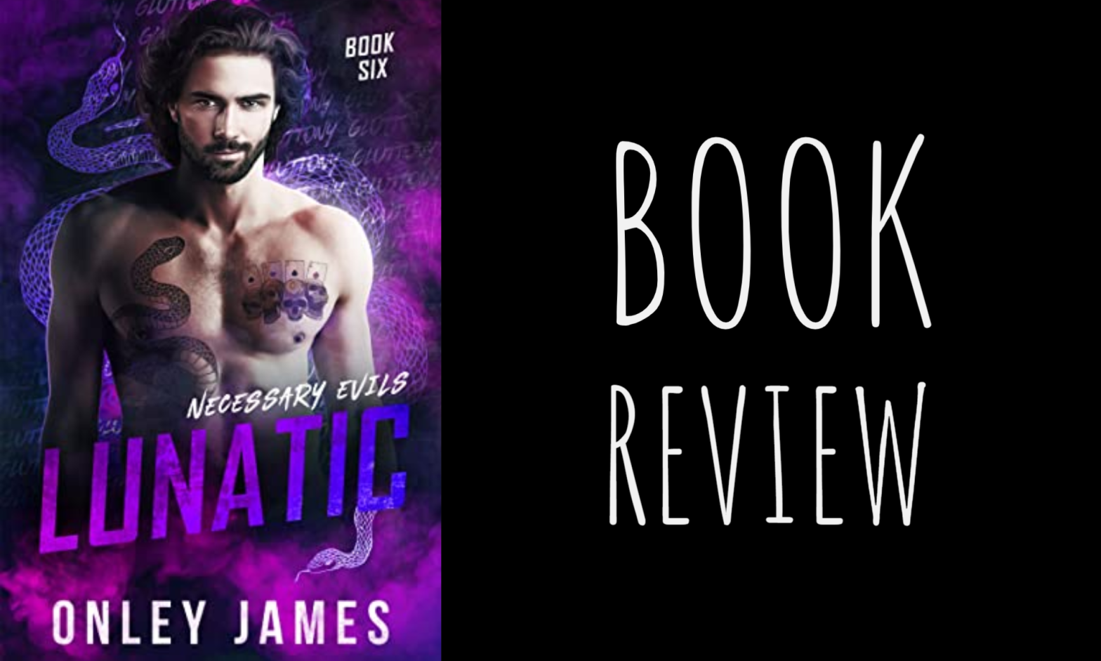 Book Review: Lunatic (Necessary Evils #6) by Onley James